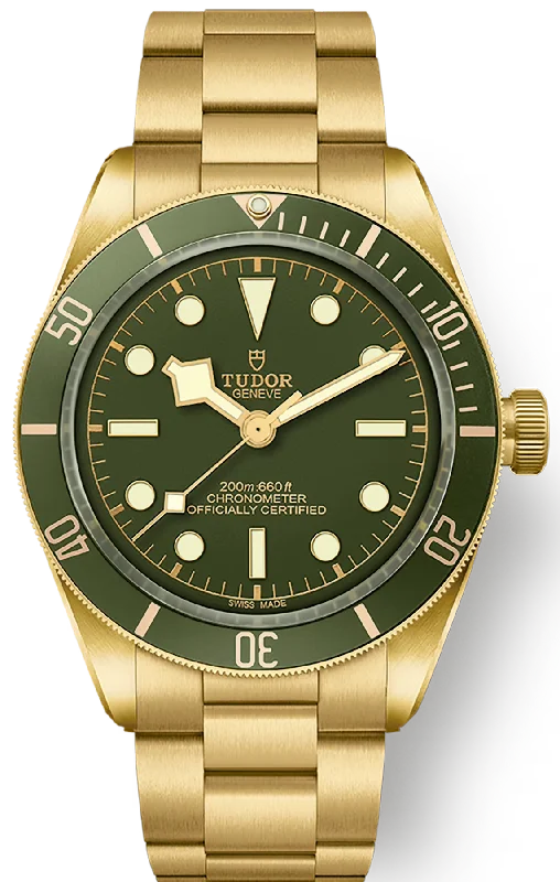 TUDOR Black Bay 58 18k