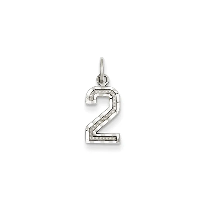 Water - Resistant Stainless Steel Diving - Themed Pendant for Divers14k White Gold, Varsity Collection, Small D/C Pendant, Number 2