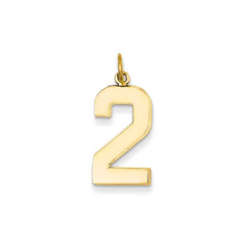 14k Yellow Gold, Athletic Collection, Large Polished Number 2 Pendant