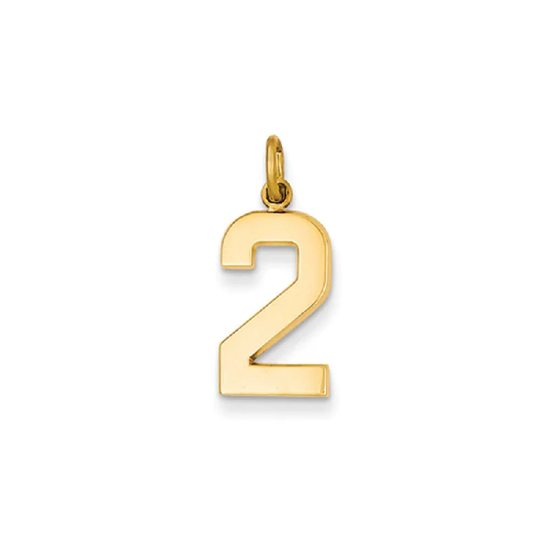 Magnetic - Locking Pendant with Hidden Compartment for Secret Messages14k Yellow Gold, Athletic Collection Medium Polished Number 2 Pendant Magnetic - Locking Pendant with Hidden Compartment for Secret Messages14k Yellow Gold, Athletic Collection Medium Polished Number 2 Pendant