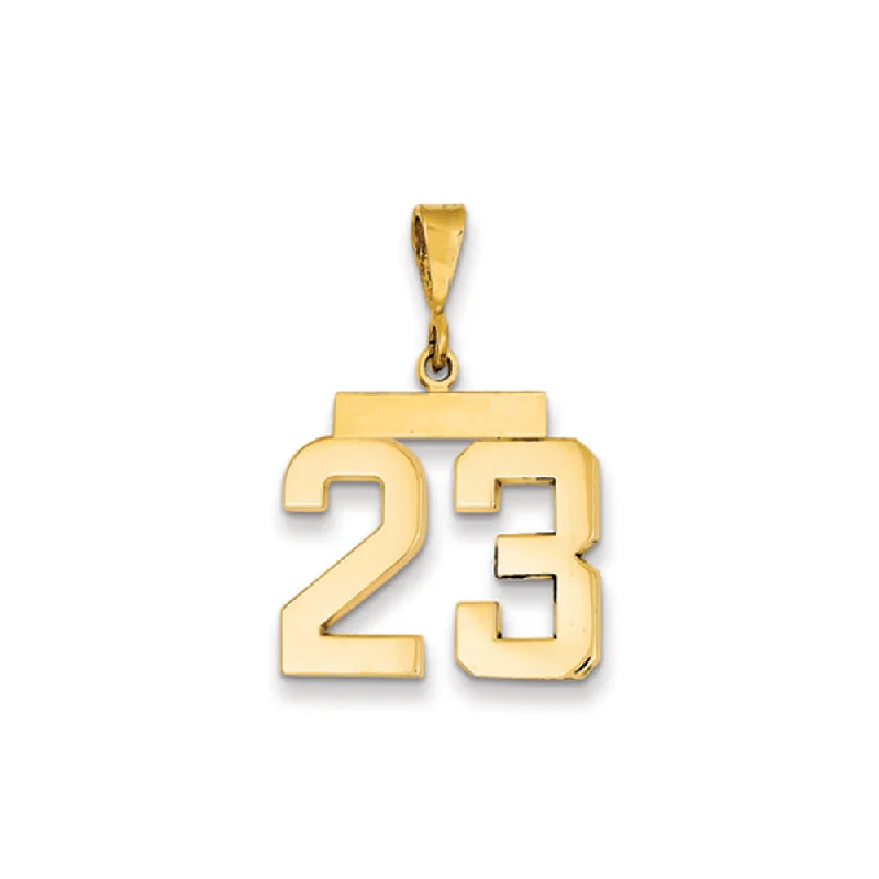 Double - Heart Pendant with Interlocking Design for Couples14k Yellow Gold, Athletic Collection Medium Polished Number 23 Pendant Double - Heart Pendant with Interlocking Design for Couples14k Yellow Gold, Athletic Collection Medium Polished Number 23 Pendant