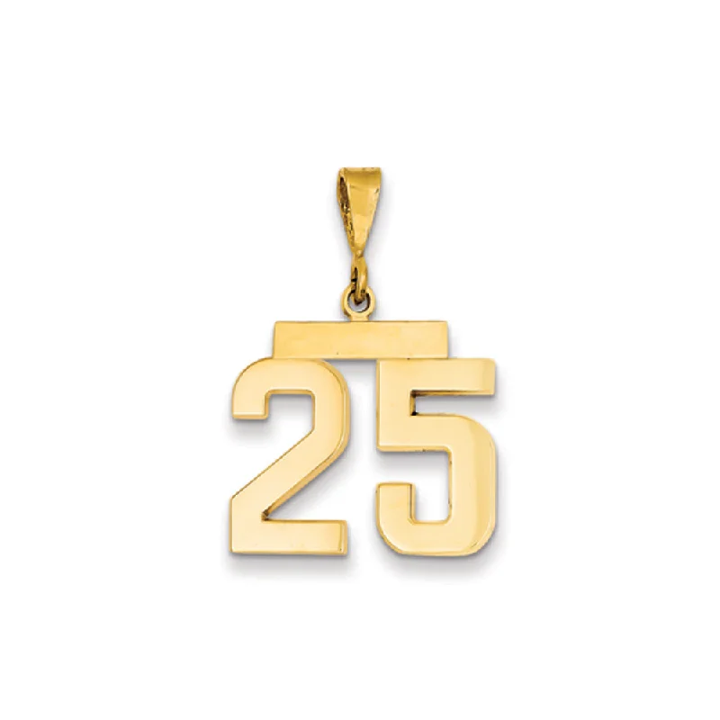 Enamel - Painted Owl Pendant in Vibrant Colors for a Playful Look14k Yellow Gold, Athletic Collection Medium Polished Number 25 Pendant Enamel - Painted Owl Pendant in Vibrant Colors for a Playful Look14k Yellow Gold, Athletic Collection Medium Polished Number 25 Pendant