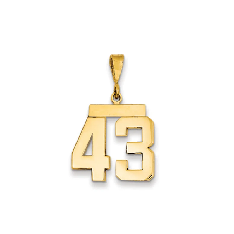 Antique - Brass - Finished Compass Pendant for Travelers and Explorers14k Yellow Gold, Athletic Collection Medium Polished Number 43 Pendant Antique - Brass - Finished Compass Pendant for Travelers and Explorers14k Yellow Gold, Athletic Collection Medium Polished Number 43 Pendant
