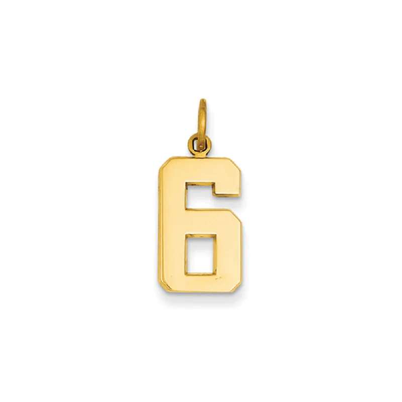 14k Yellow Gold, Athletic Collection Medium Polished Number 6 Pendant